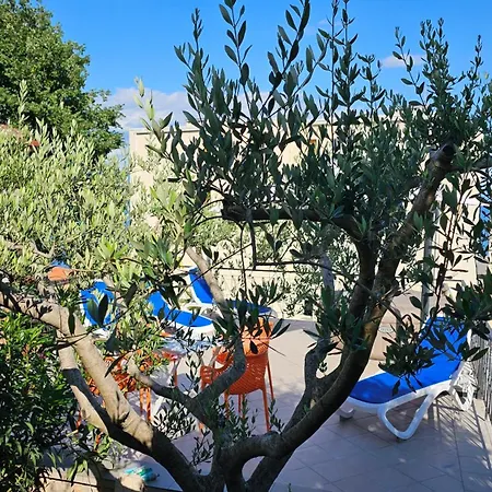 Apartamento Elvira *